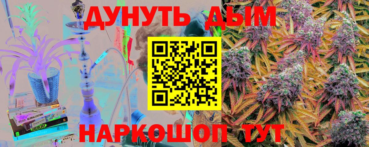 Бошки Шишки план Электрогорск